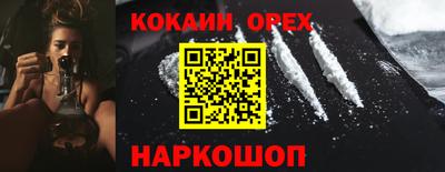 PSILOCYBIN Можга