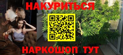 PSILOCYBIN Можга