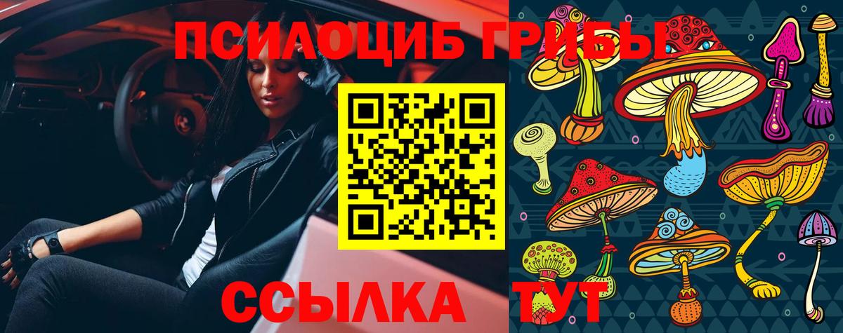 Псилоцибиновые грибы мицелий Туймазы