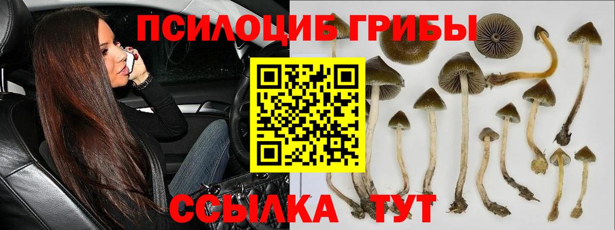 Туймазы  цена наркотик  Вход с VPN  Псилоцибиновые грибы мухоморы  Галлюциногенные грибы MAGIC MUSHROOMS 